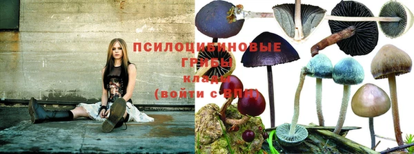 бутират Аркадак