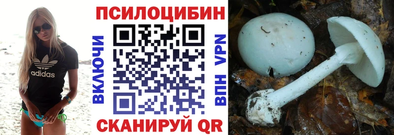 Галлюциногенные грибы Psilocybine cubensis  Советск 